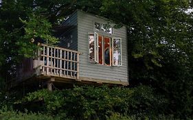 Treehouse Escape
